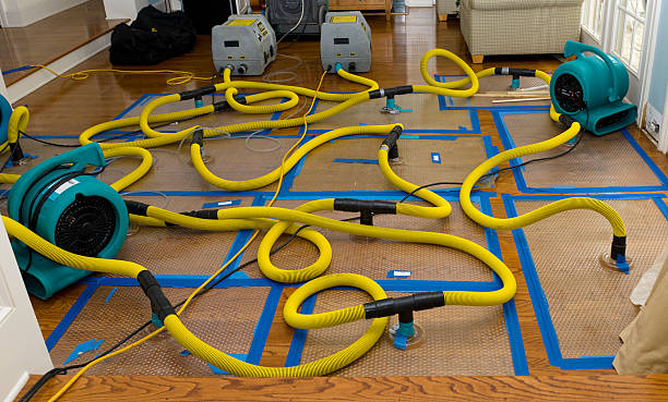Professional Sewage Cleanup technician working in Janesville, CA